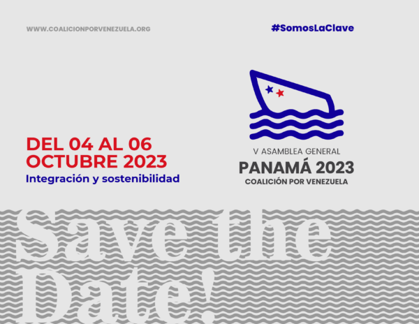 V Asamblea General